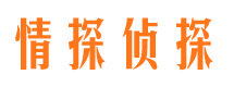 禄劝市私家侦探